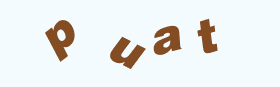 随机验证码