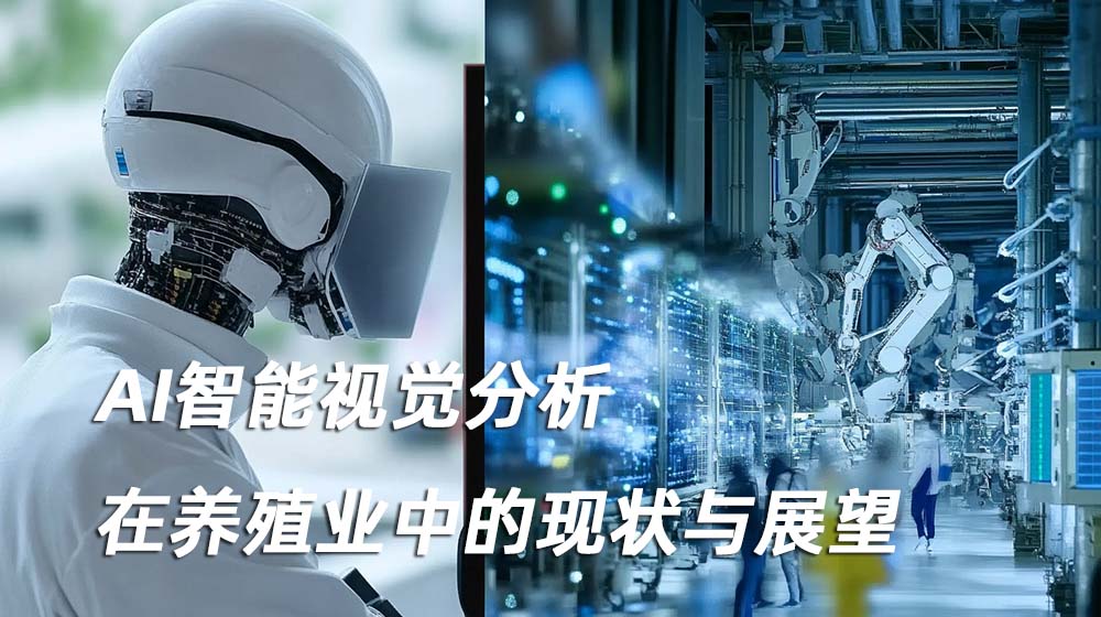 AI智能视觉分析在养殖业中的现状与展望.jpg