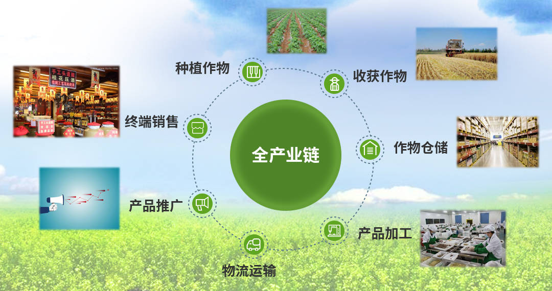 从"经验种植"到"数据种植"，物联网在农业中的应用(图2)