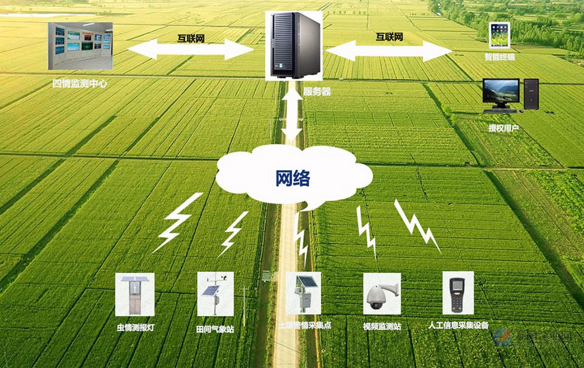 从"经验种植"到"数据种植"，物联网在农业中的应用(图3)