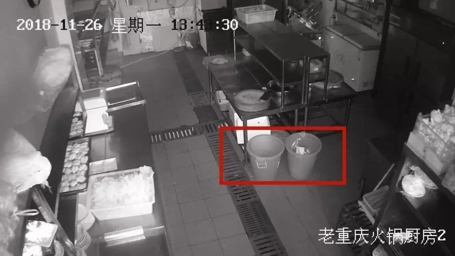 厨房老鼠AI智能识别技术难点及系统的选型与部署建议(图3)