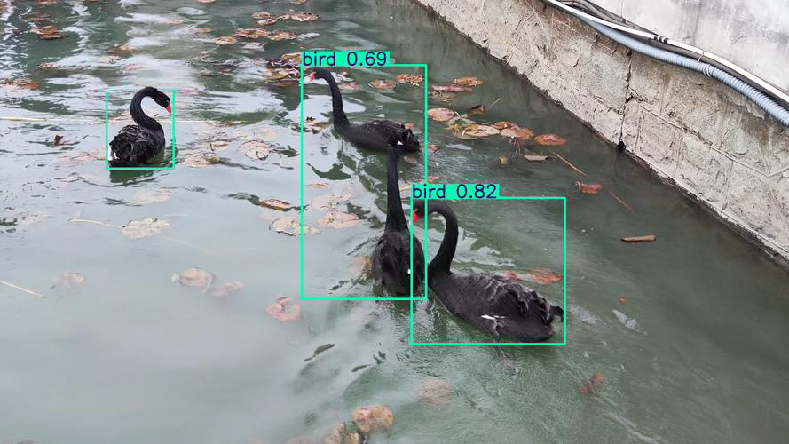 国内YOLO检测边缘盒子核心厂商产品解析与选型指南