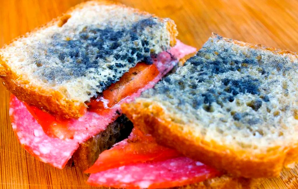 适配厨房场景的食材隐患识别算法:准确率优化路径与实践策略(图2)