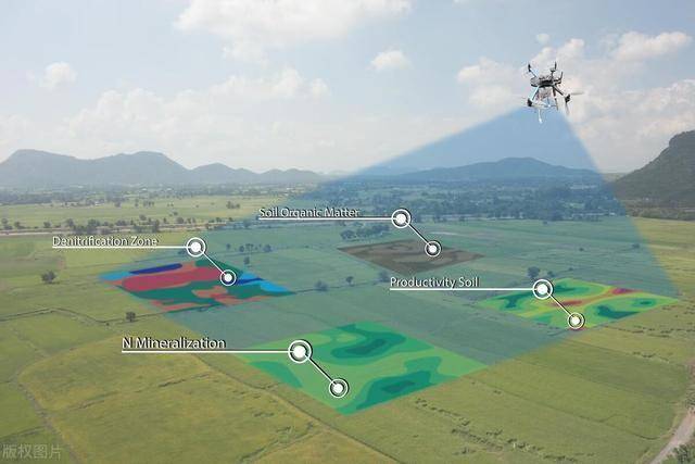 空中守护濒危物种：无人机+AI检测算法让野保效率提升10倍(图1)