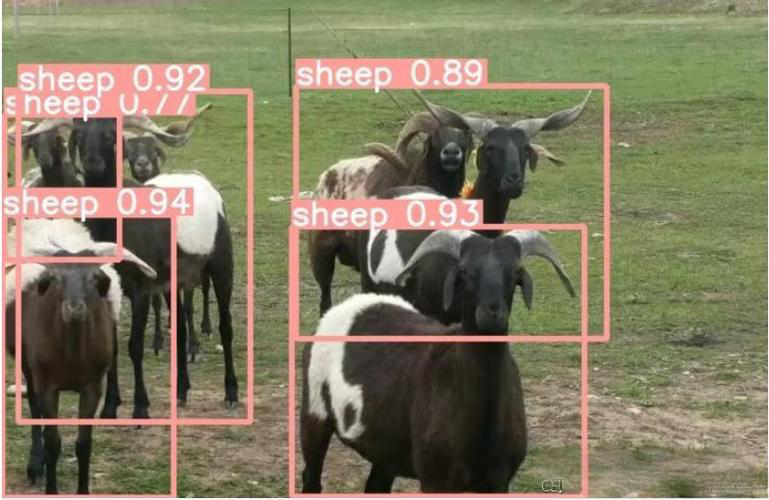 空中守护濒危物种：无人机+AI检测算法让野保效率提升10倍(图3)