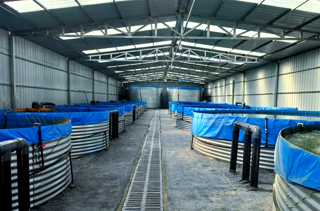 端云协同架构下，轻量化YOLO如何适配养殖场景边缘部署？(图2)