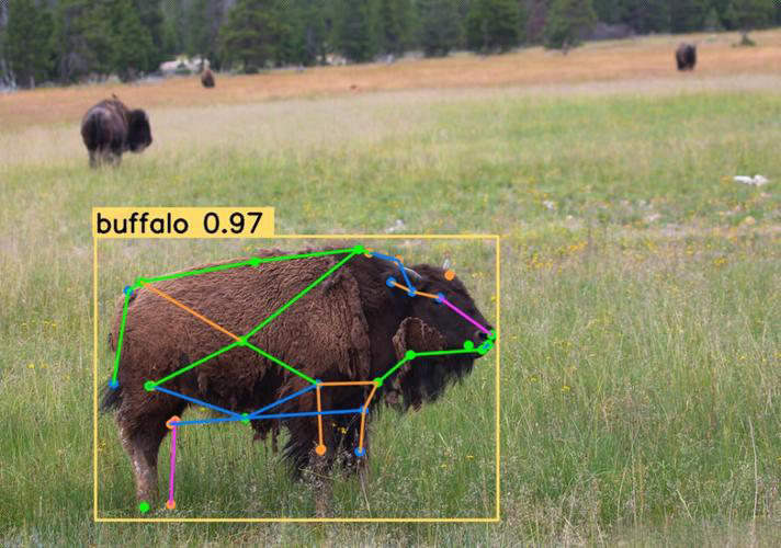 从人工巡检到智能预警：动物检测算法重构农业监测产业链(图1)