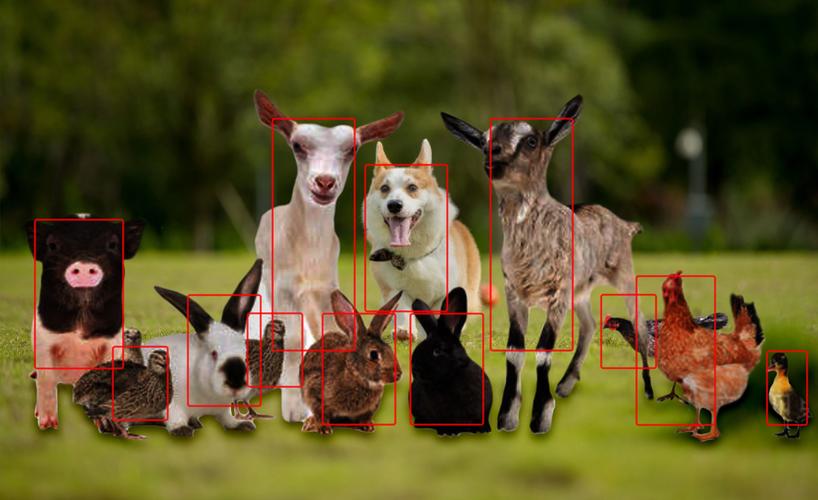 从人工巡检到智能预警：动物检测算法重构农业监测产业链