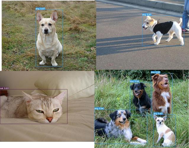 从人工巡检到智能预警：动物检测算法重构农业监测产业链(图3)