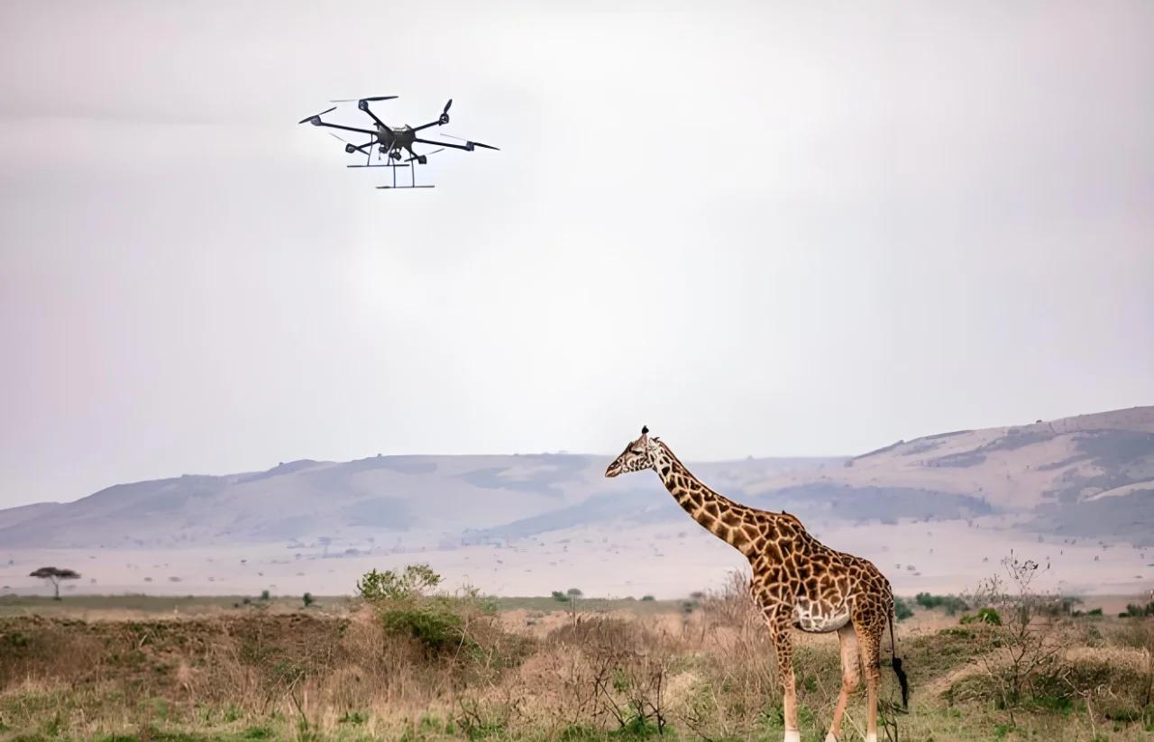 AI 赋能精准畜牧：动物行为检测算法让疾病早发现率提升40%(图1)