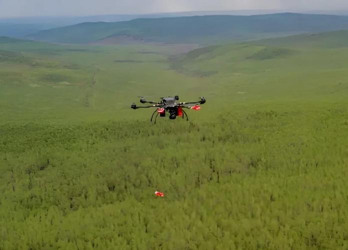 AI 赋能精准畜牧：动物行为检测算法让疾病早发现率提升40%