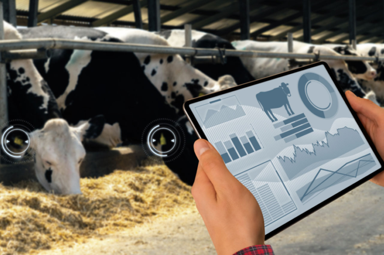 政策加持+技术爆发！2025年边缘计算龙头扎堆智慧畜牧业，重构养殖生态(图5)