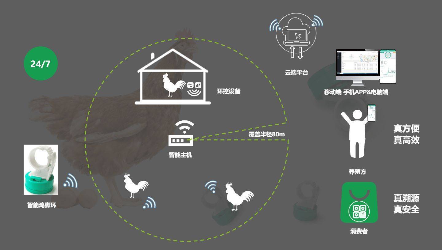 边缘计算盒子改写养殖逻辑:温氏单鸡药费省千万,智慧畜牧业迈入"数据驱动"(图3)