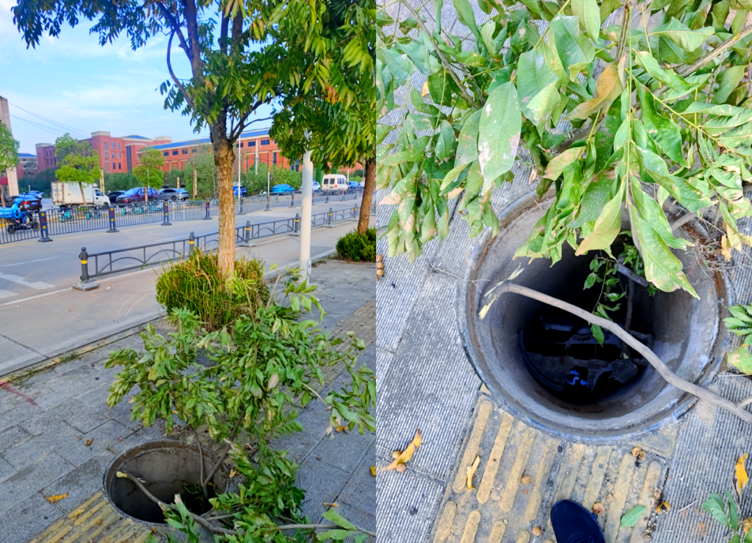 32Tops超强算力加持,万物纵横DA320S边缘计算盒子筑牢城市井盖安全防线(图4)