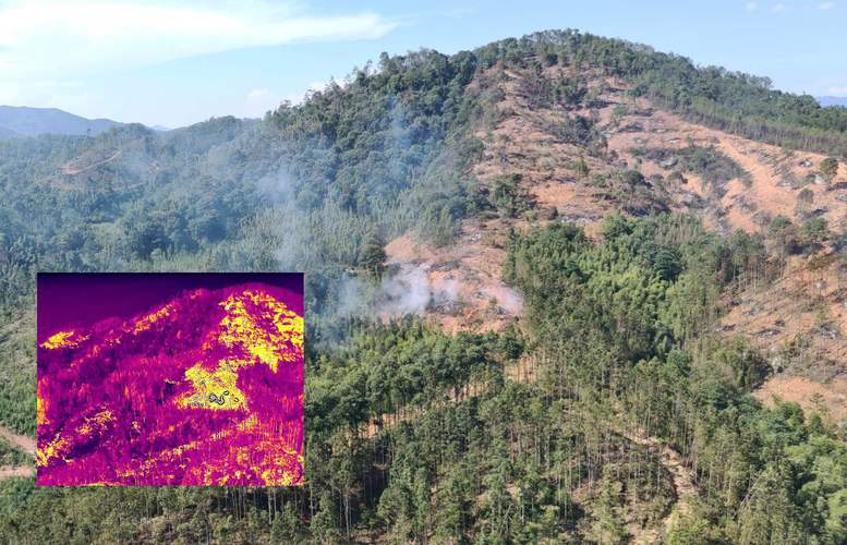 林草巡检效率提升5-8倍 边缘计算盒子背后的核心算法支撑(图3)