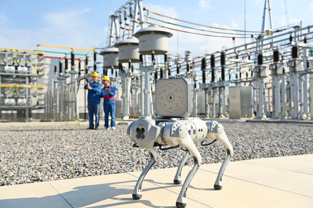 园区安防升级！监控AI算力盒子24小时全自动智能巡检(图2)