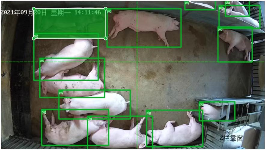 AI+边缘计算：养殖场算法盒子成智慧养殖新宠(图1)