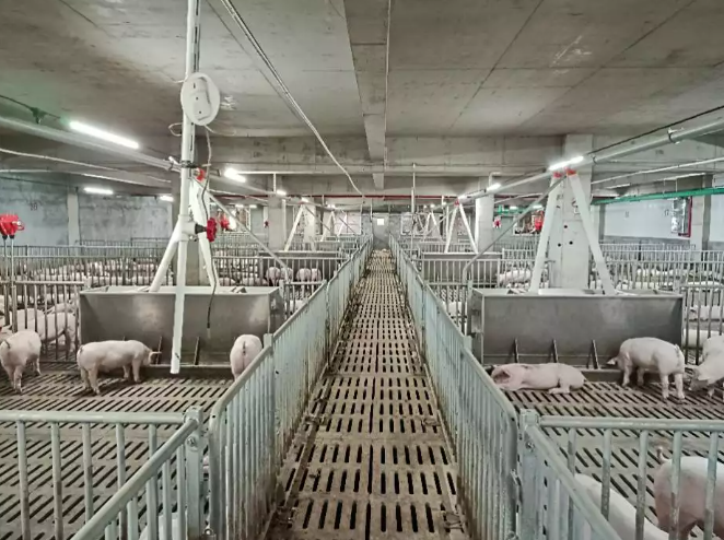 AI+边缘计算：养殖场算法盒子成智慧养殖新宠(图4)