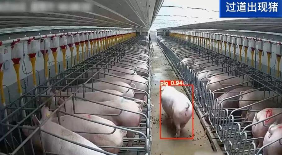 养殖场边缘算法盒子：旧设备焕新，模糊塘口变“智慧眼”(图1)