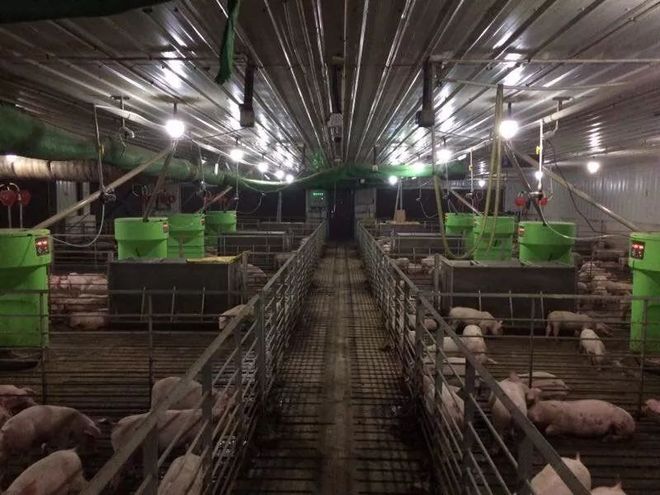 养殖场边缘算法盒子：旧设备焕新，模糊塘口变“智慧眼”(图2)