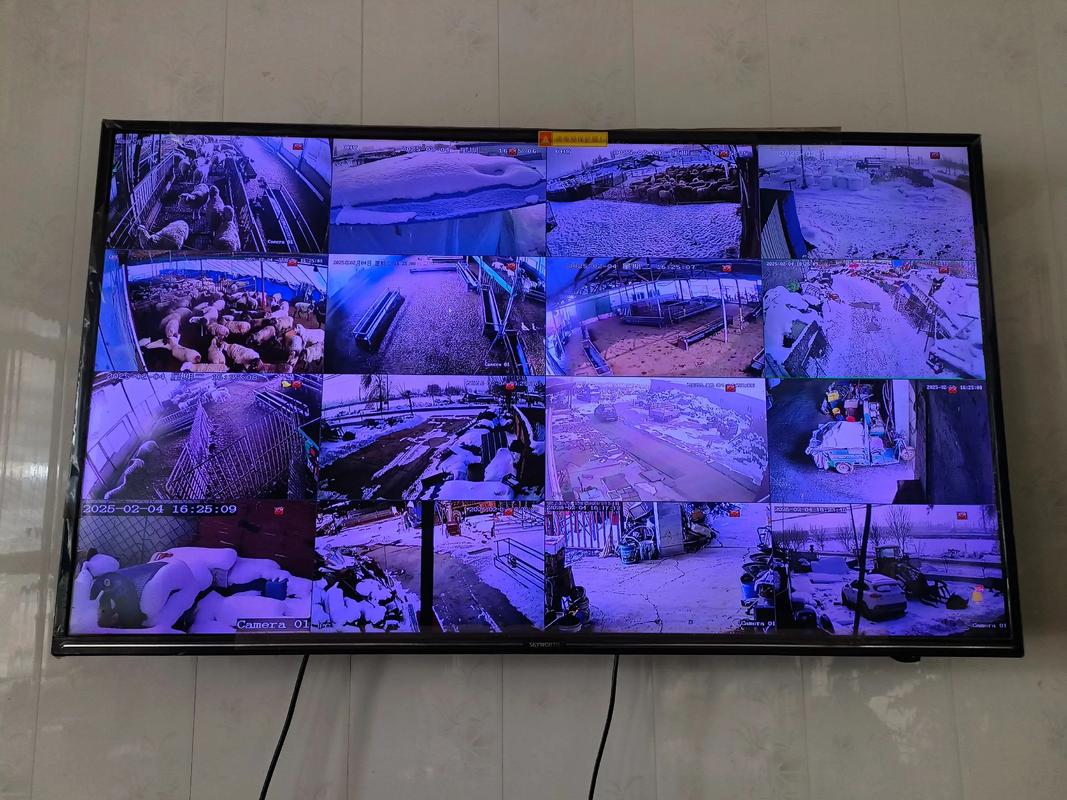 选AI 边缘计算盒子该看峰值算力还是持续算力？(图3)